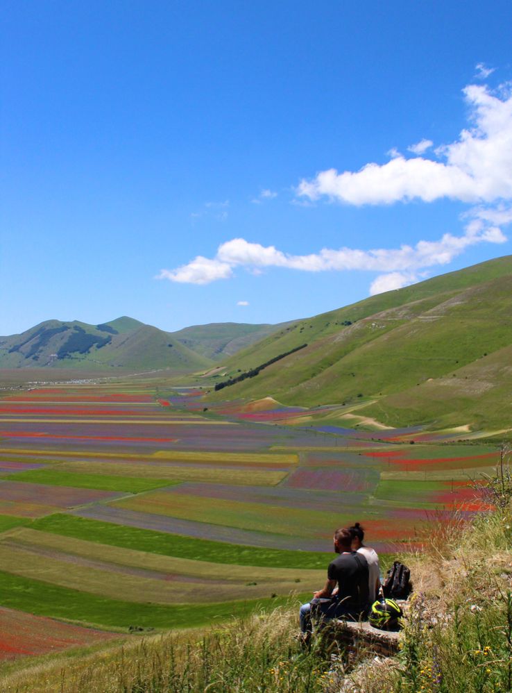 Der Fiorita di Castelluccio mit Gelassenheit einfach zuschauen und die Seele mit inneren Ruhe wieder auftanken