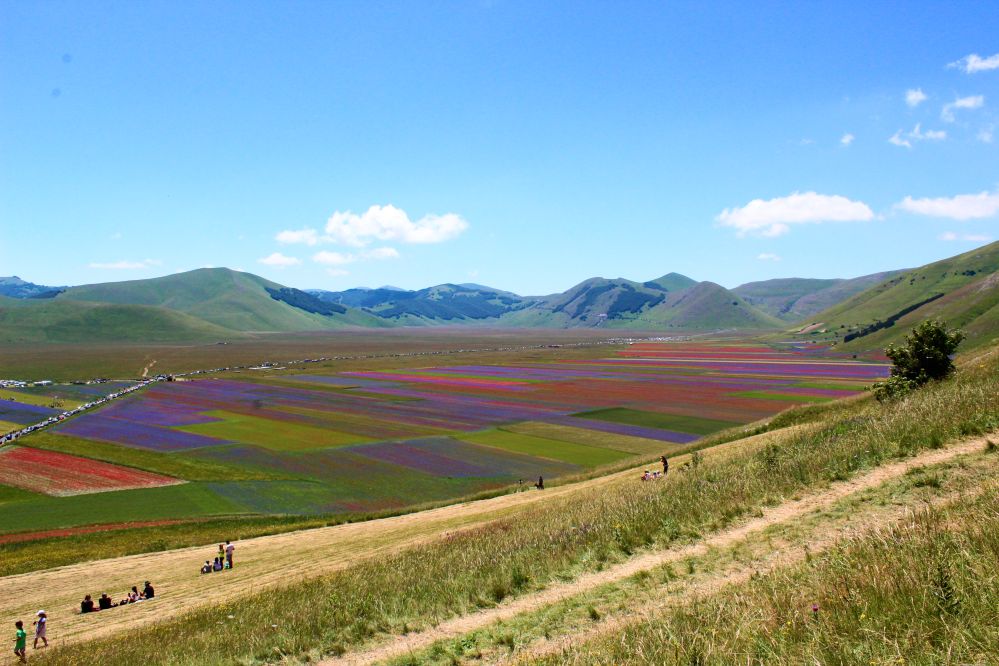 Die Fioritura di Castelluccio Blüte auf der großen Ebene Pian Grande